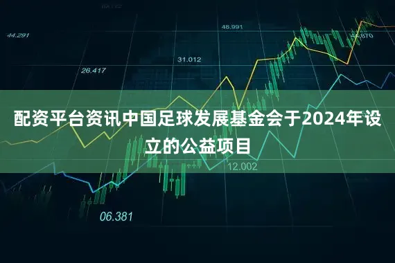 配资平台资讯中国足球发展基金会于2024年设立的公益项目